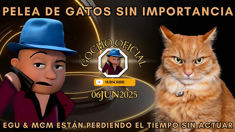 06JUN2025| PELEA DE GATOS SIN IMPORTANCIA | [GOCHO.OFICIAL]