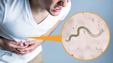 "Exploring National Geographic's Insightful 3-Minute Clip on Parasites: Must-Watch"