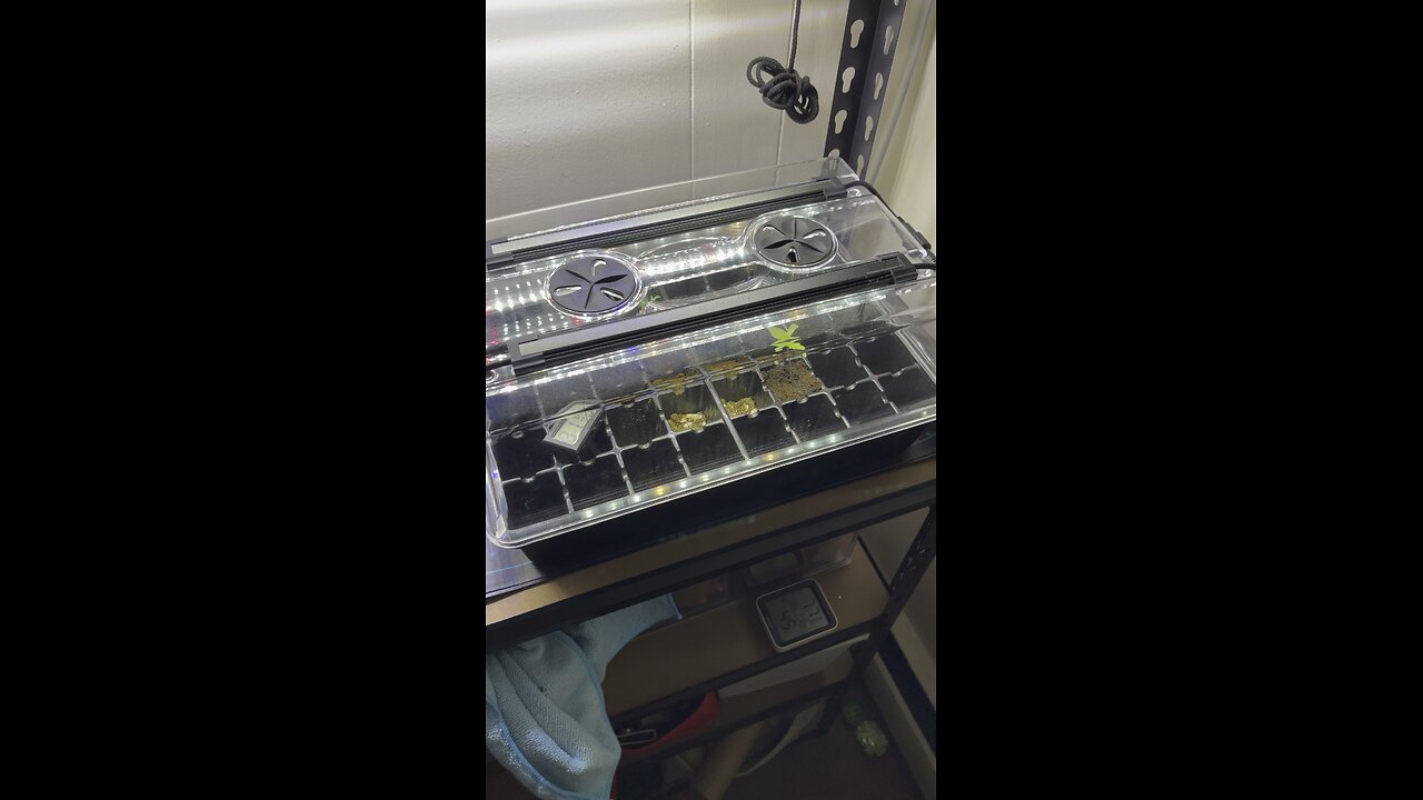 Season 3 organic growing!