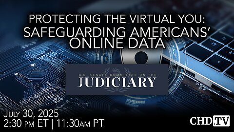 Protecting the Virtual You: Safeguarding Americans' Online Data