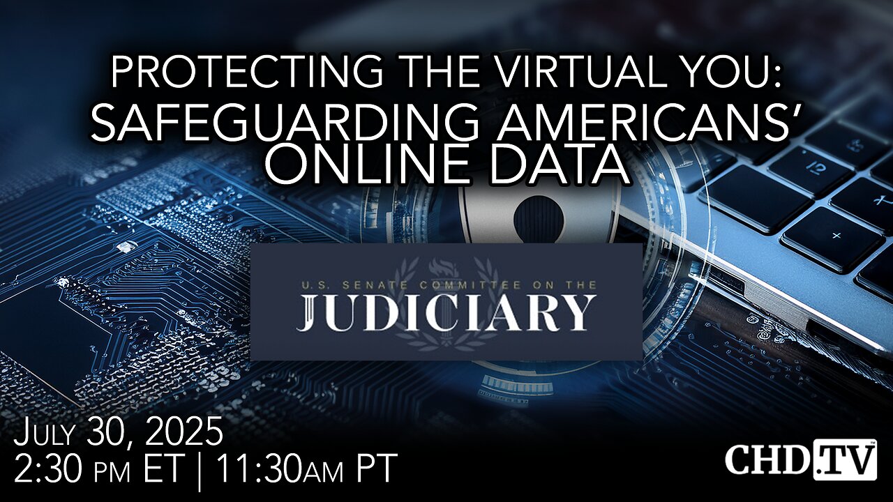 Protecting the Virtual You: Safeguarding Americans' Online Data