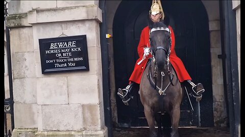 King's guards