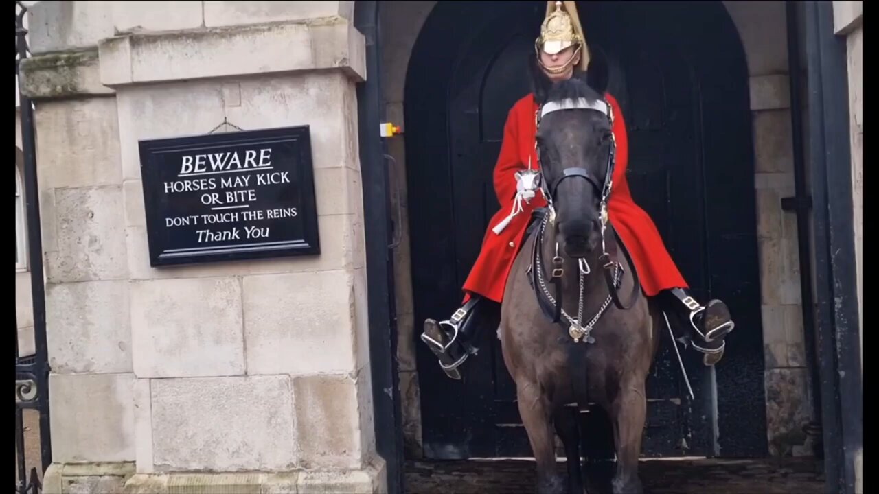 King's guards