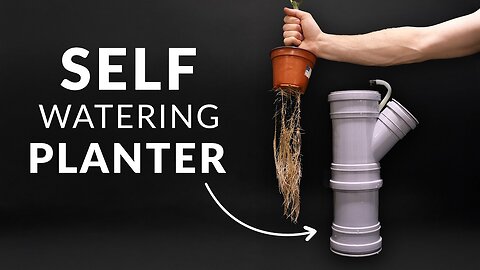 Cucumber timelapse in DIY self-watering pot