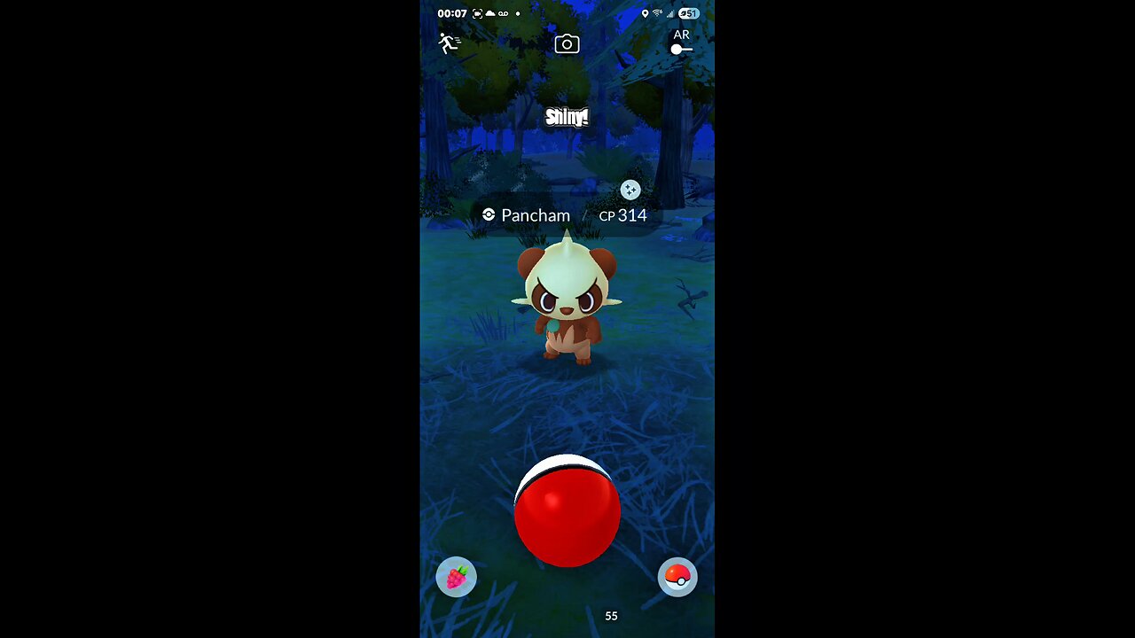 🔥SHINY Pancham Caught With almost NO Effects?!