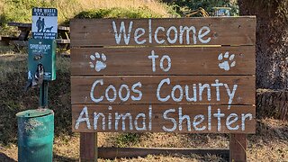 Coos County Animal Shelter Needs Volunteers & Donations