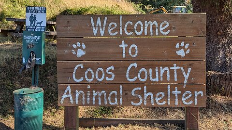 Coos County Animal Shelter Needs Volunteers & Donations