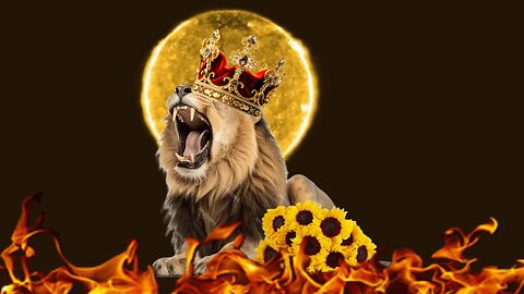 👑 1 Kings 12👑