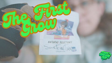 First Cannabis Grow Journal - The Set Up