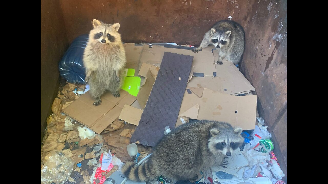 Lets see what we can get into tonight