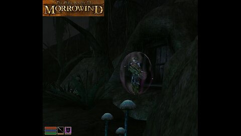 The elder scrolls III Morrowind p.4