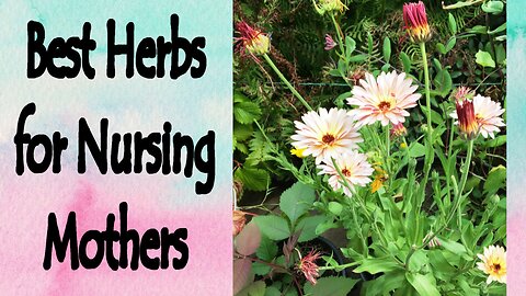 Best Herbs for Nursing Moms