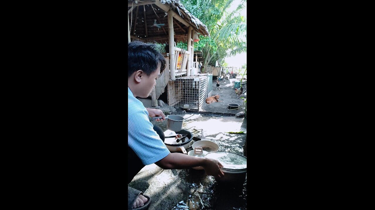 Mike Washes Plates And Gets Served With Fish