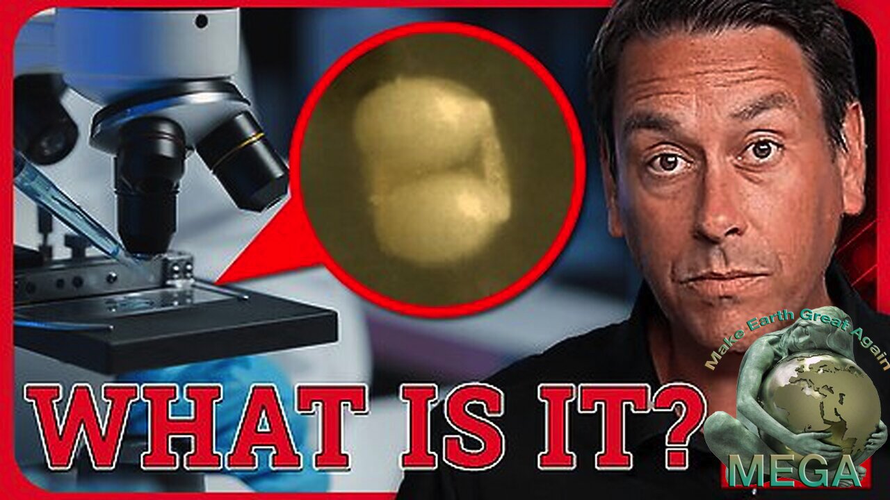 Strange Objects Raining Down Across America Florida | What Is the Government Hiding? | Redacted | Find links to The Dimming & many more below this video, in the description box