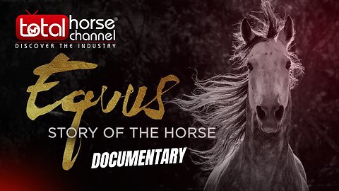 Equus | Story of the Horse