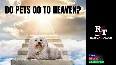 DO PETS GO TO HEAVEN?
