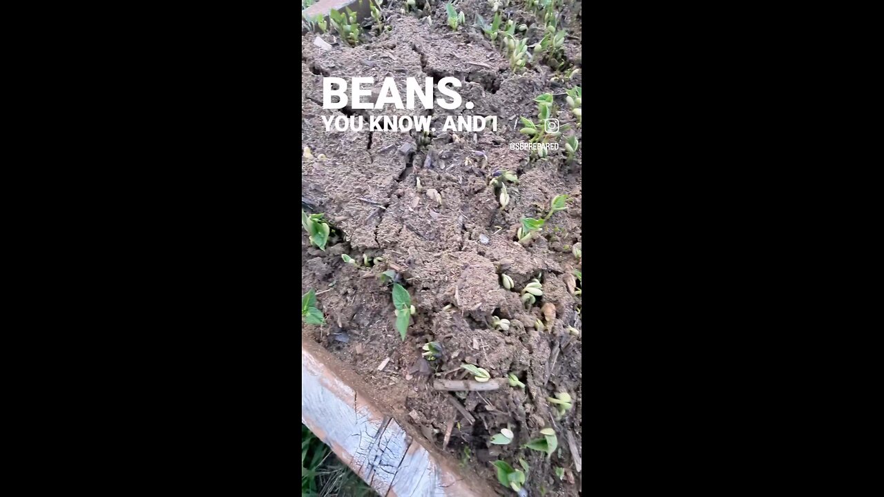 Anyone CAN Grow Food Update