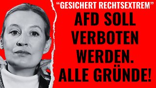 "Gesichert rechtsextrem": Die AfD soll verboten werden. Alle Gründe!