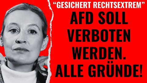 "Gesichert rechtsextrem": Die AfD soll verboten werden. Alle Gründe!