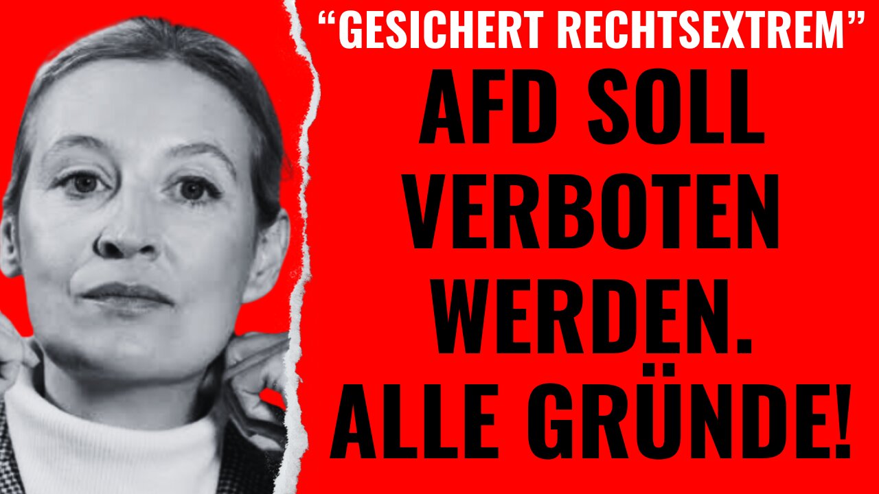 "Gesichert rechtsextrem": Die AfD soll verboten werden. Alle Gründe!