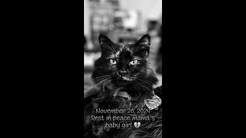 The way I burst into tears.... My bby girl Blackie Rose would always greet me like that.... 😭😭😭💔