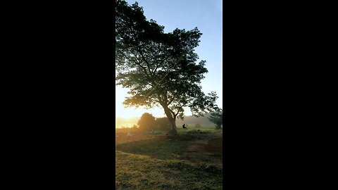 Beautiful Village