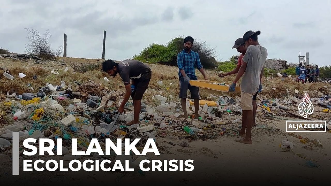 Sri Lanka faces new ecological crisis as MSC Elsa 3 debris spreads