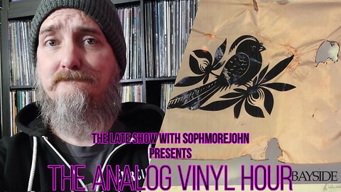 The Analog Vinyl Hour - Bayside - The Walking Wounded