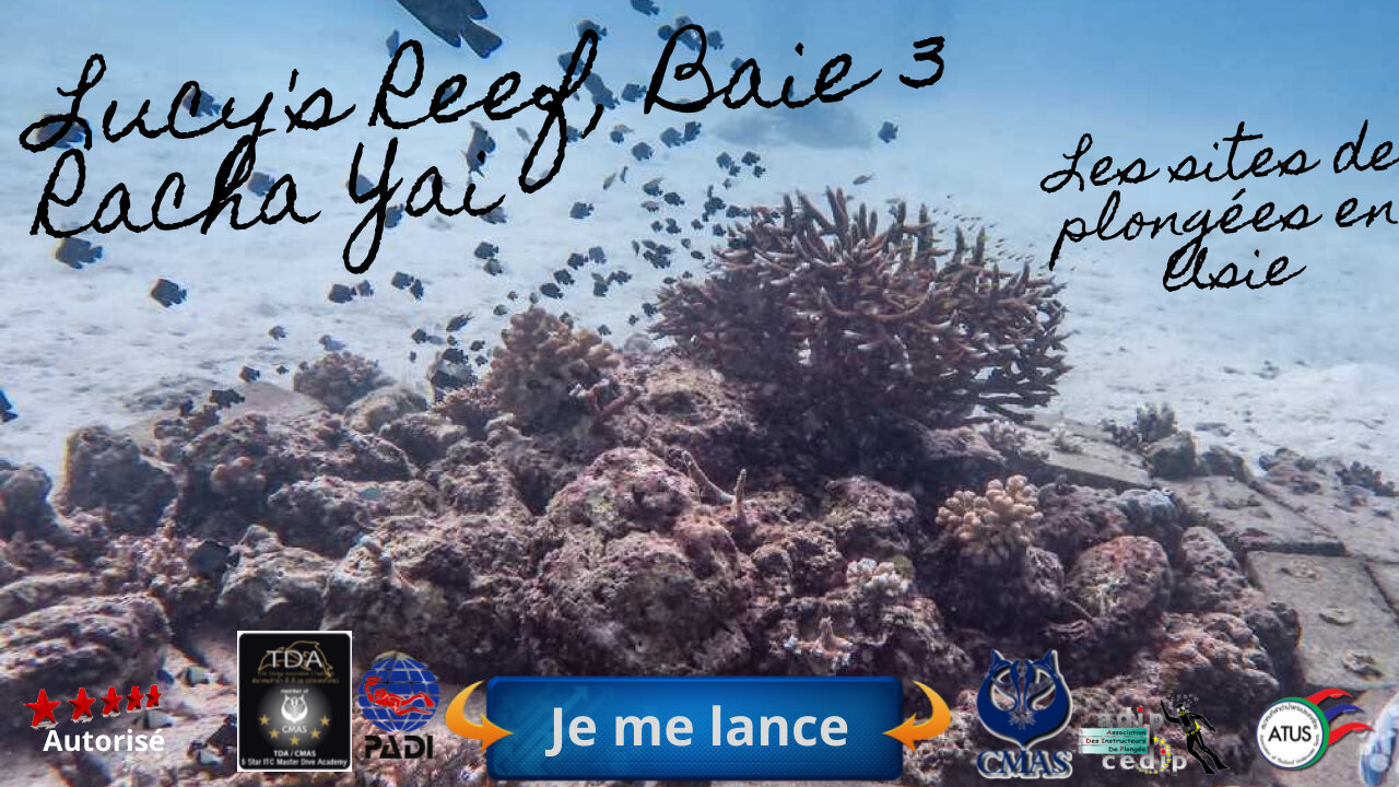 🐠 Lucys Reef, Baie 3 Racha Yai, Le Sanctuaire du Sable et les Maîtres du Camouflage
