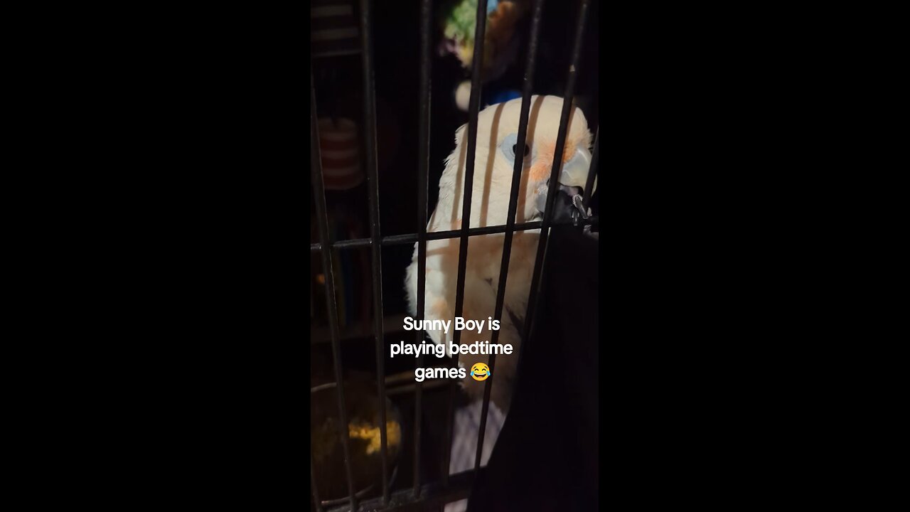 Bedtime Games