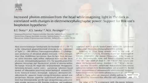 Biophotons and the Luminous Body