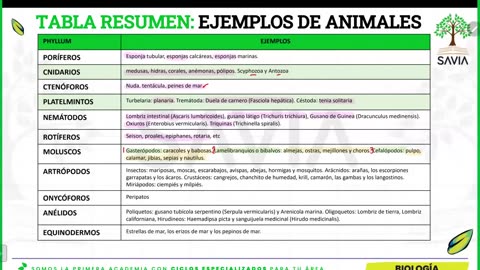 SAVIA REGULAR 2025 | Semana 16 | Biología