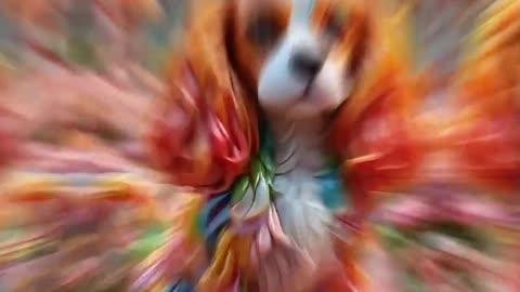 AI Made These Candy Dogs! 🍬✨ Yorkie, Cavalier, Pekingese Mashup!