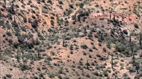 Vidéo étonnante d'un OVNI et de ses occupants au Royaume-Uni