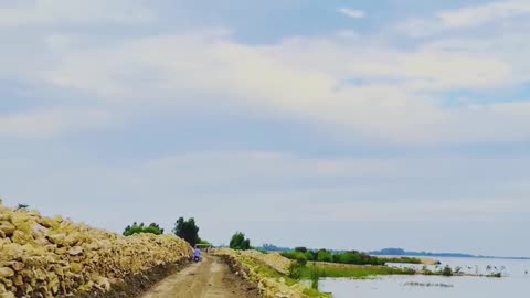 Way To Sindhu Dariya Badshah #maxrecords #village #larkana