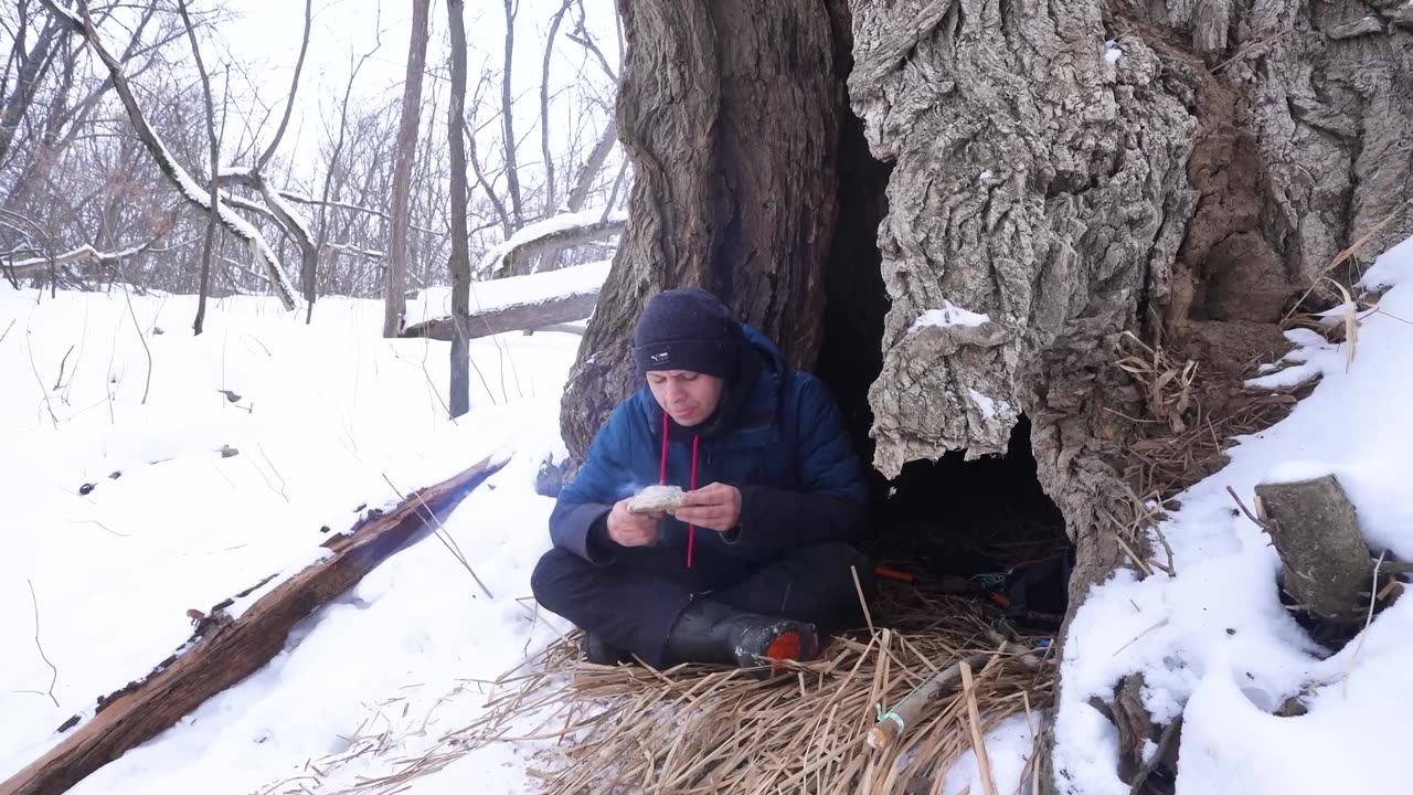 Extreme Winter Overnight in a Tree Hollow | Primitive Fire & Survival Fishing