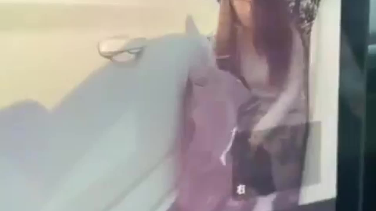 SMILE DARLING, YOU'RE ON TESLA CANDID CAMERA.