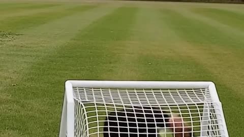 Real life vs AI