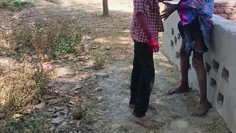 Holi