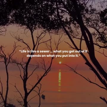 Life is like a sewer … what you get out of it depends on what you put into it.