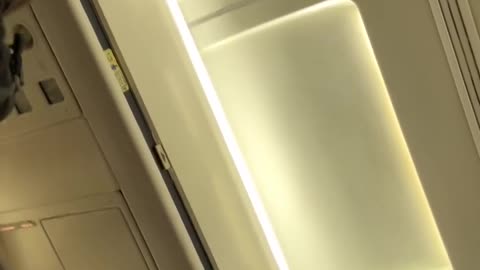 Passenger thrown off plane after fight over seat!.hd
