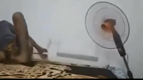 Fan