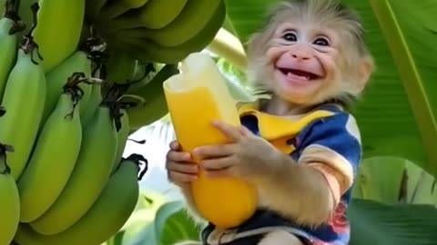 Funny animals #shorts #cats #animal #cute #funny #video #music #cat #dog #love #films #comedy #2025