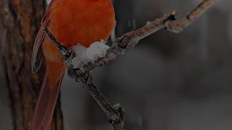 🔥 Surah Yūnus 10:33 — سورة يونس ⚡⏳ #love #Quran #viral #shorts #trending #YouTubeShorts #fyp #short