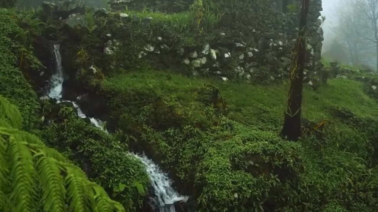 Nature