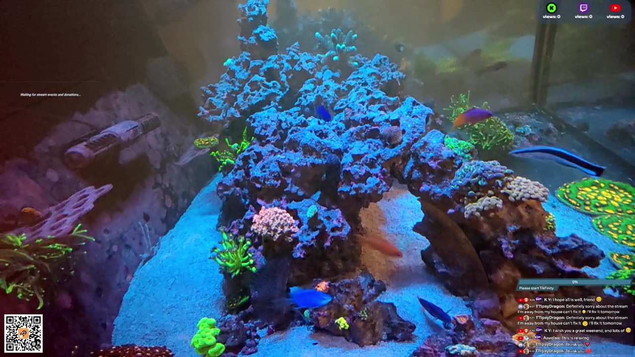 24/7 Real Live Reef Stream