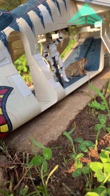 TOAD IN CLONE DROPSHIP FUNNY