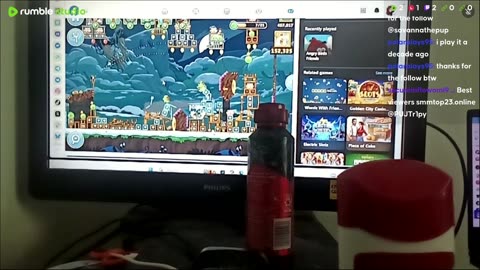 another day of flying birds off to knocking pigs down