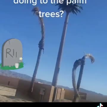 5G isn't just fast internet...