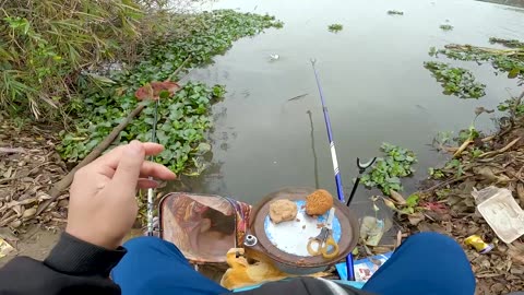 Crayfish Bait Trapping in Lake Rock Piles
